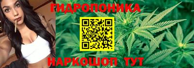 каннабис Новодвинск