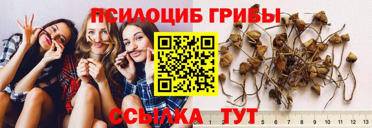 закладка  Вход с VPN  Стрежевой  Псилоцибиновые грибы прущие грибы 
